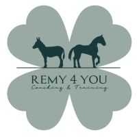 Remy4You Coaching & Training